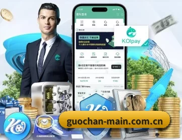 国产直播回放 APP
