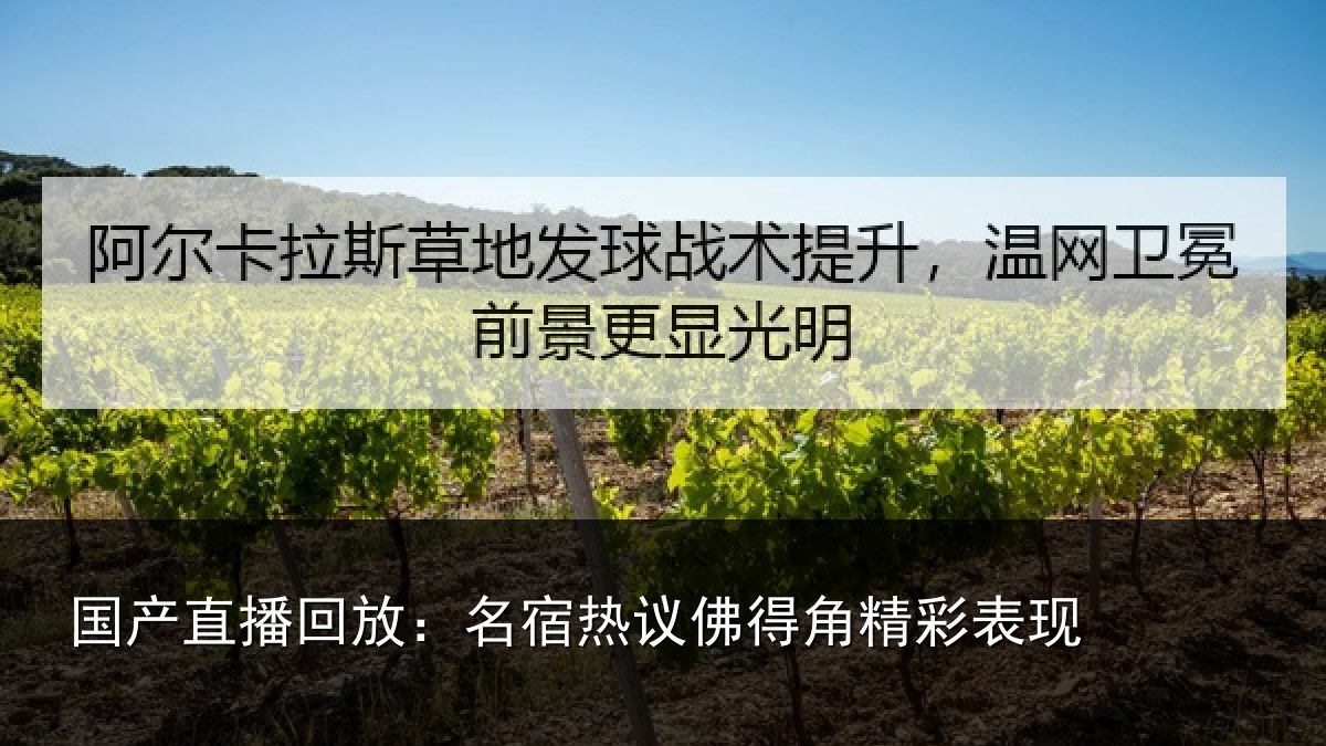 国产直播回放：名宿热议佛得角精彩表现