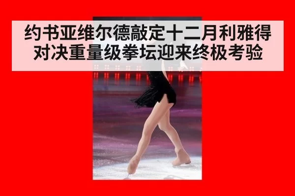 约书亚维尔德敲定十二月利雅得对决重量级拳坛迎来终极考验