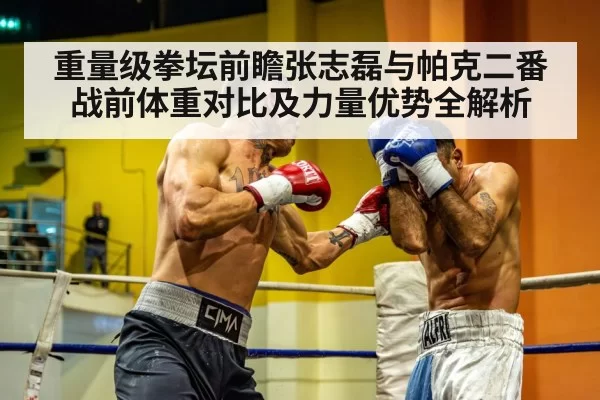 重量级拳坛前瞻张志磊与帕克二番战前体重对比及力量优势全解析